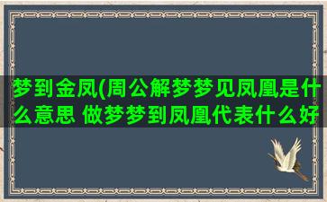 梦到金凤(周公解梦梦见凤凰是什么意思 做梦梦到凤凰代表什么好不好)